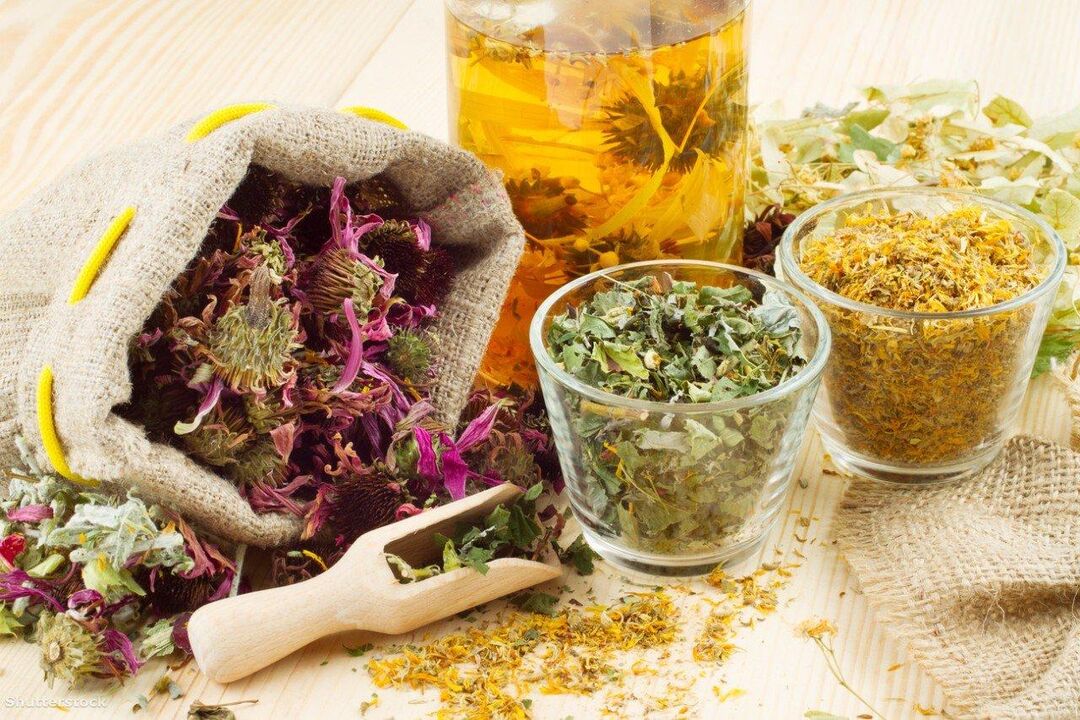 Herbas curativas para a terapia popular da psoríase nos cóbados